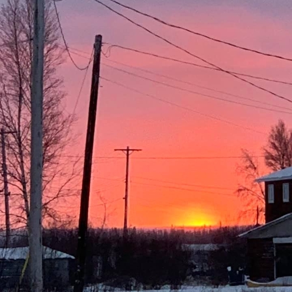 Meet your Posher, Tina - Picture 1 of 1